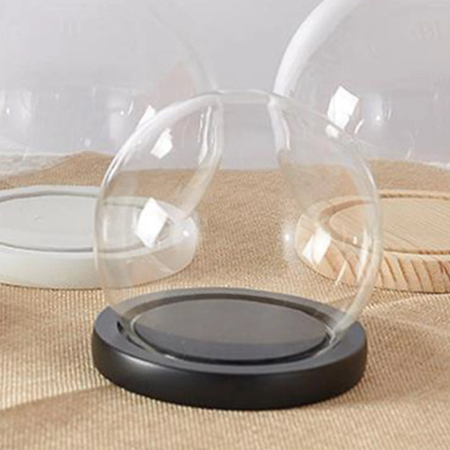 Glass Cloche Display Dome with Wooden Base | Studio Analog