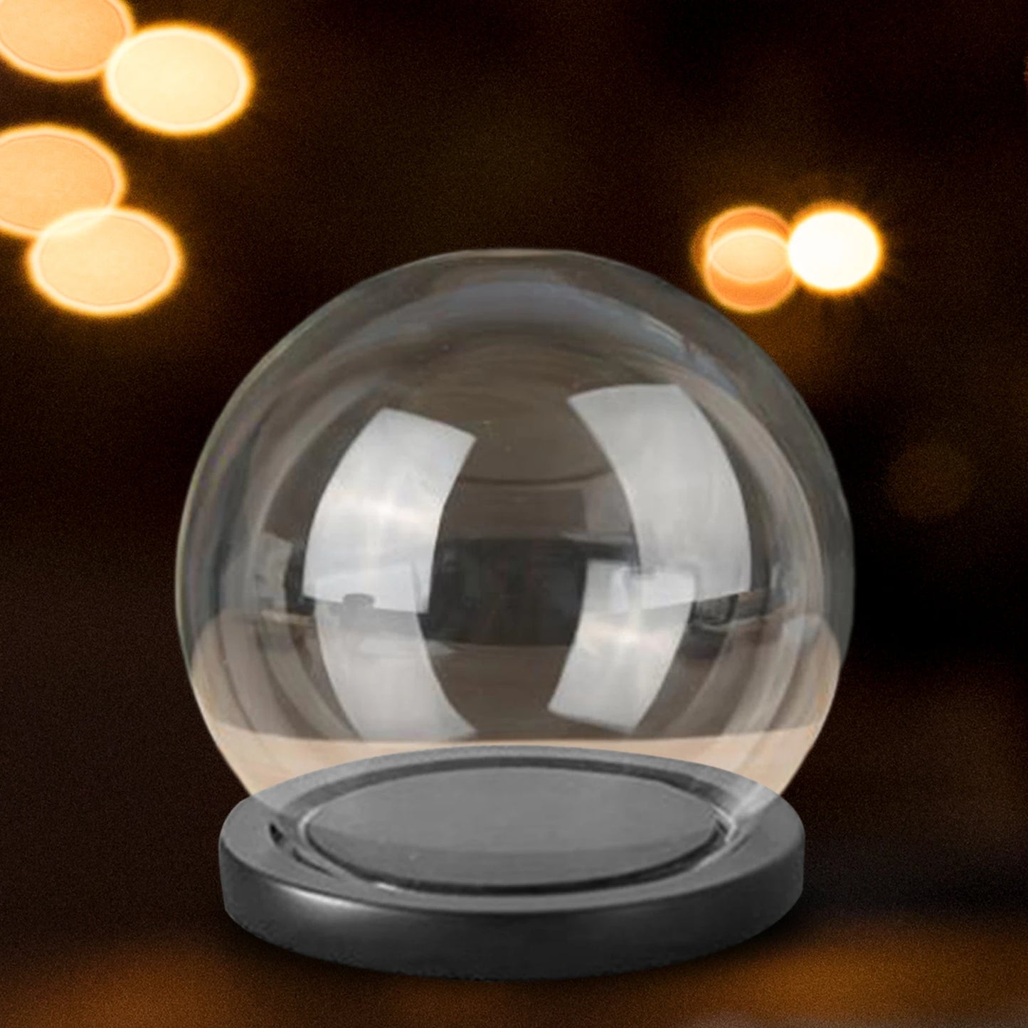 Glass Cloche Display Dome with Wooden Base | Studio Analog