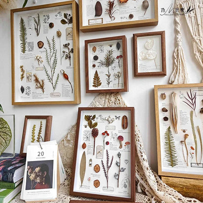 Collector Shadow Box Frame – 3D Display Case