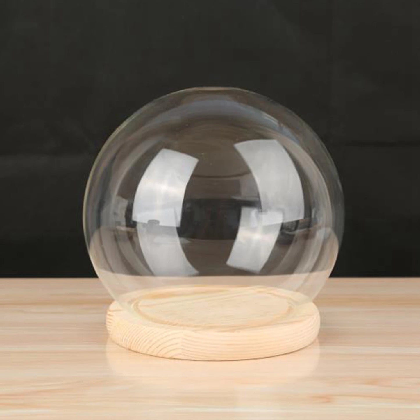Glass Cloche Display Dome with Wooden Base | Studio Analog