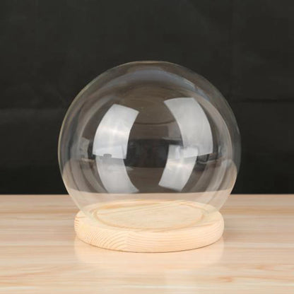 Glass Cloche Display Dome with Wooden Base | Studio Analog