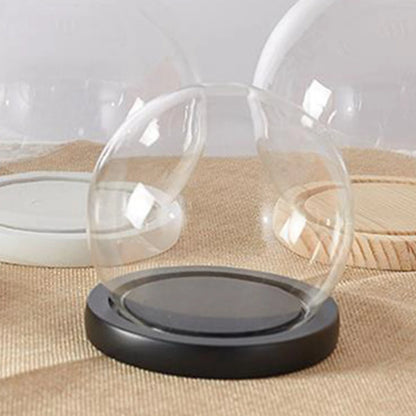 Glass Cloche Display Dome with Wooden Base | Studio Analog