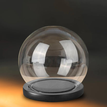 Glass Cloche Display Dome with Wooden Base | Studio Analog