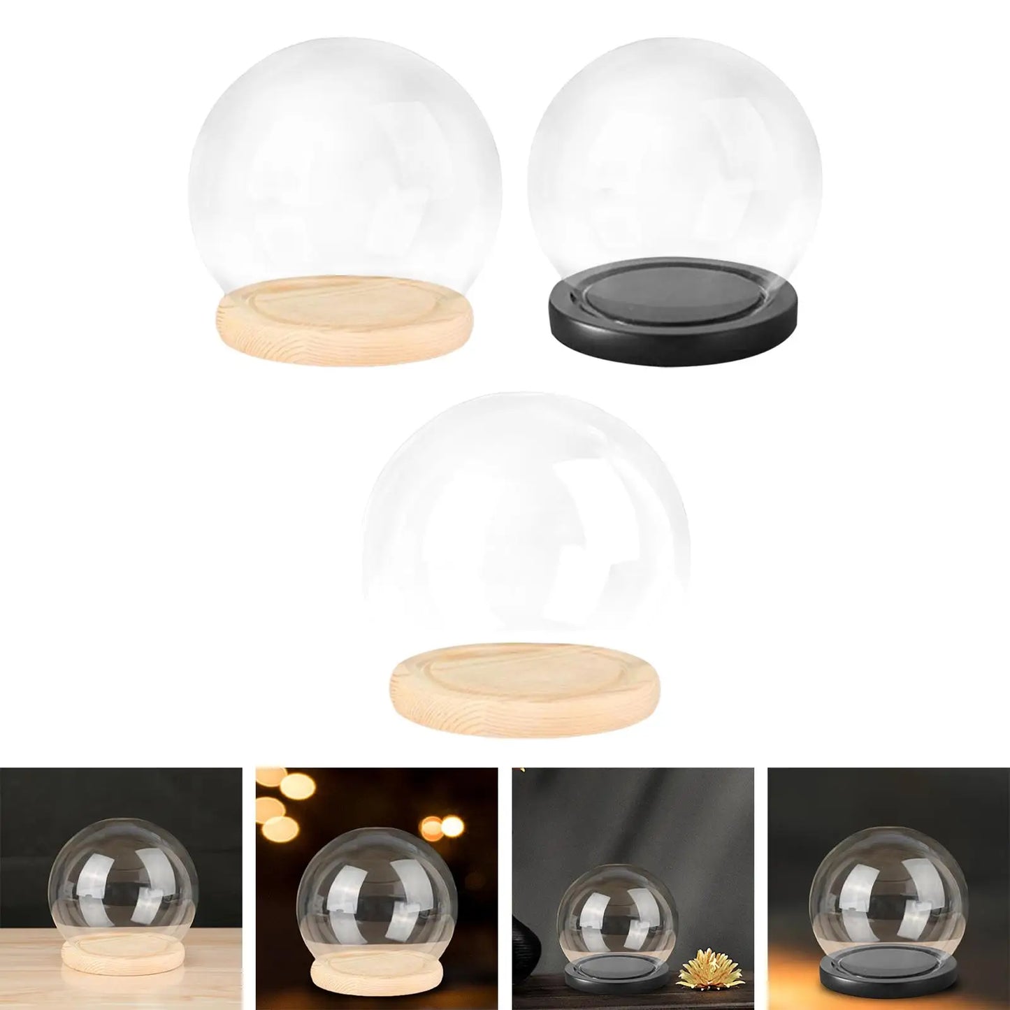 Glass Cloche Display Dome with Wooden Base | Studio Analog