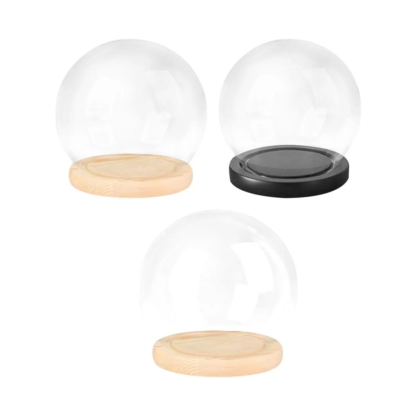 Glass Cloche Display Dome with Wooden Base | Studio Analog