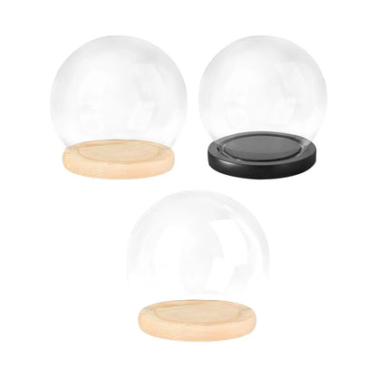 Glass Cloche Display Dome with Wooden Base | Studio Analog